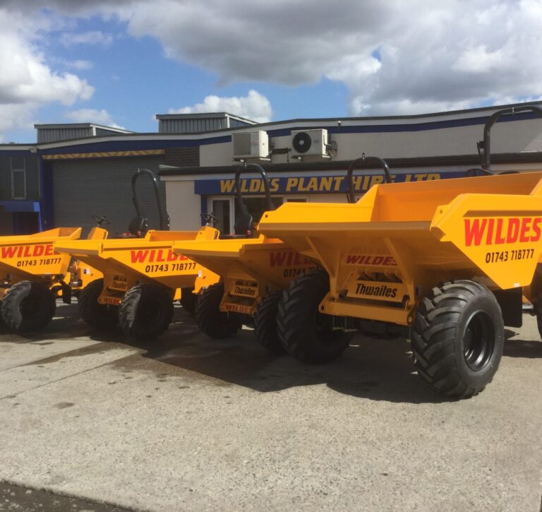 Wildes dumpers